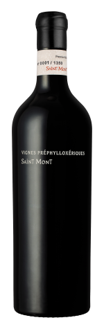 Vignes Prephylloxeriques Saint Mont AOC